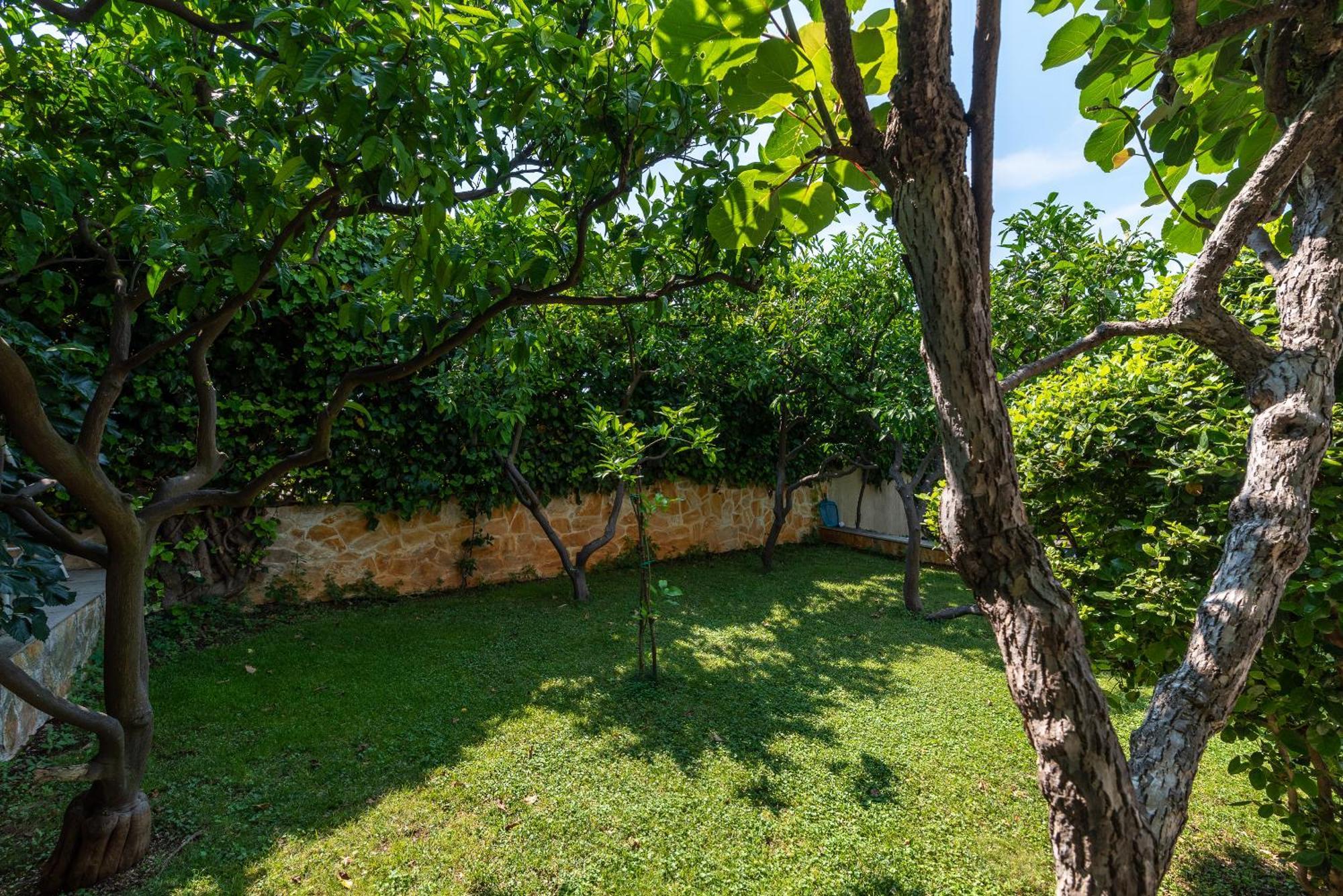Villa Bakica Traù Esterno foto